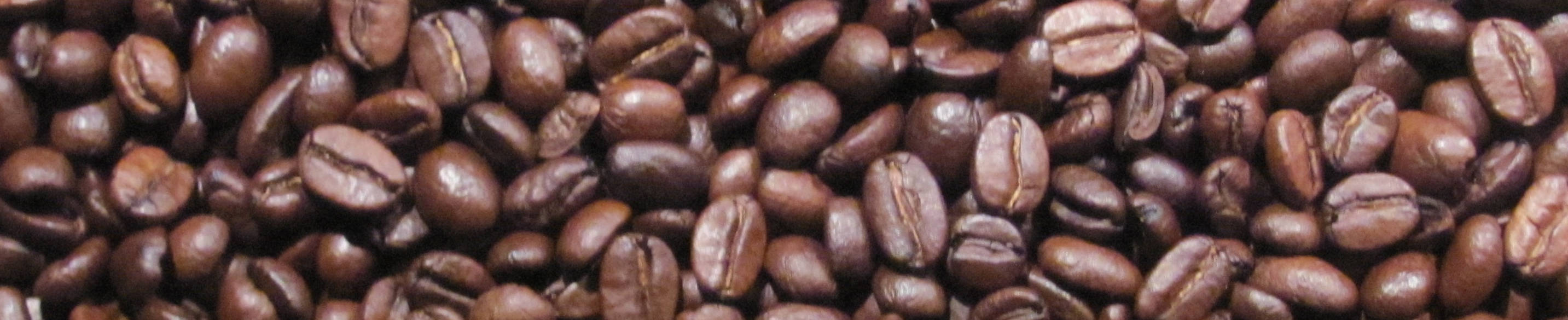 Espresso Bohnen unter sich Ein Bannerbild mit espresso bohnen
