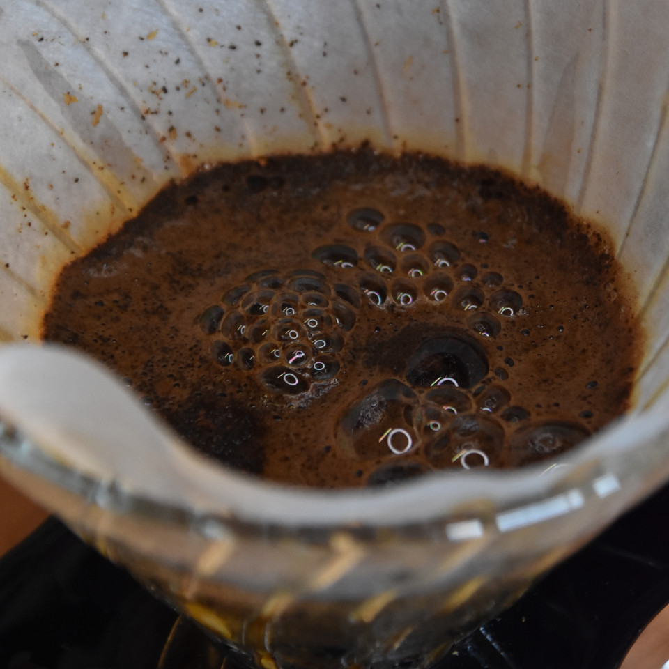 "Die Kaffeerpulverblüte" Kaffeepulver blüht im coffeemaker auf