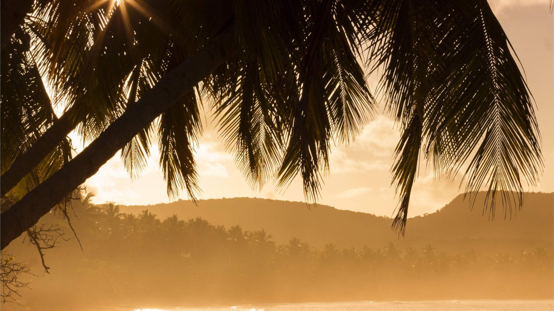 Sonnenuntergang an der Malabar Küste Sonnenuntergang an der Südost Küste Indiens an der malabar kaffee wächst